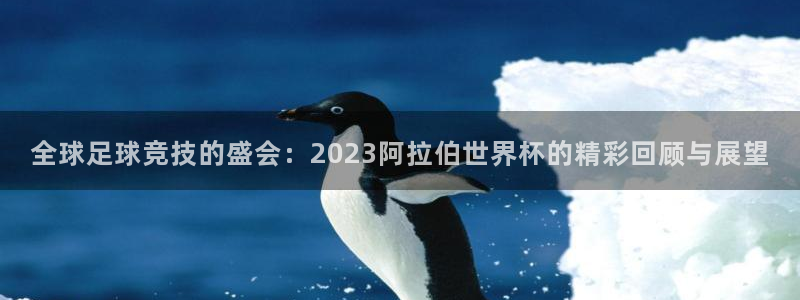 世界杯足球赛2026：全球足球竞技的盛会：2023阿拉伯世界杯的精彩回顾与展望