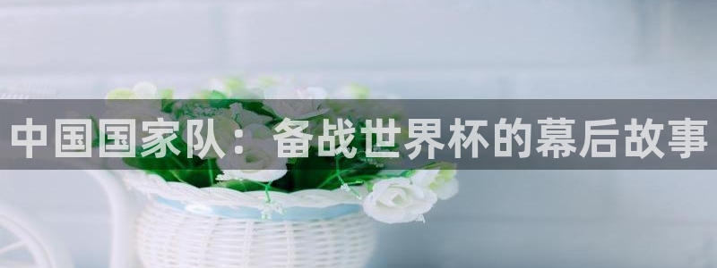 西超杯直播:中国国家队:备战世界杯的幕后故事