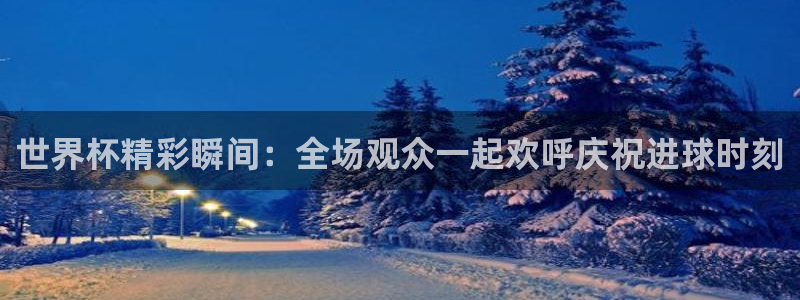 世界杯 2026：世界杯精彩瞬间：全场观众一起欢呼庆祝进球时刻