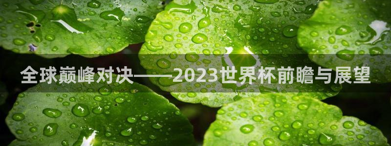 世界杯赛程表：全球巅峰对决——2023世界杯前瞻与展望