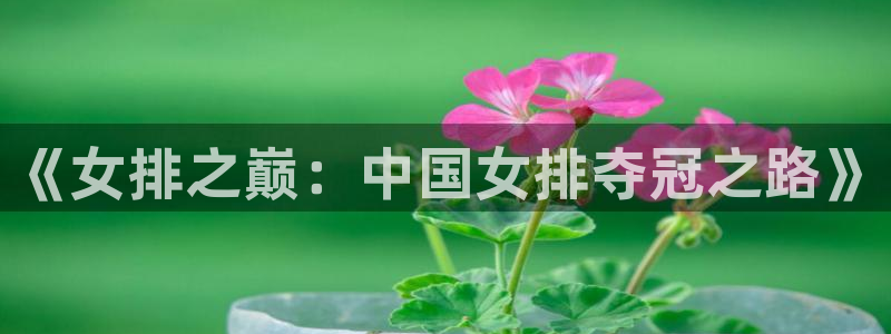 2026世界杯赛：《女排之巅：中国女排夺冠之路》