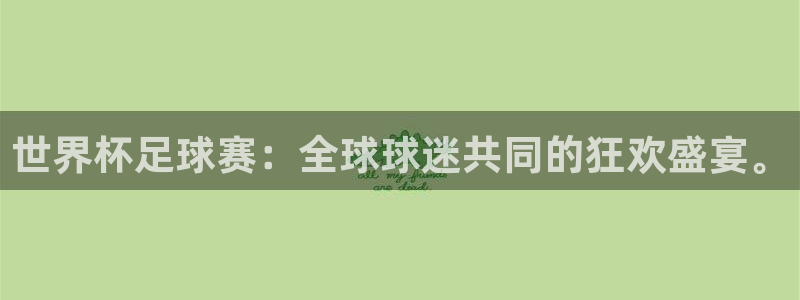 足球杯：世界杯足球赛：全球球迷共同的狂欢盛宴。