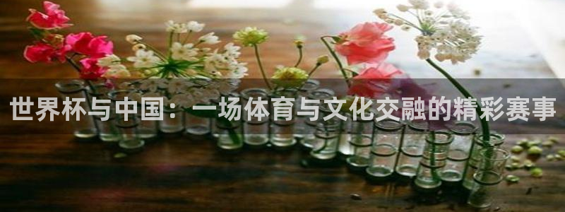 2006世界杯：世界杯与中国：一场体育与文化交融的精彩赛事