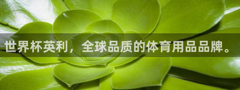 世界杯足球直播：世界杯英利，全球品质的体育用品品牌。