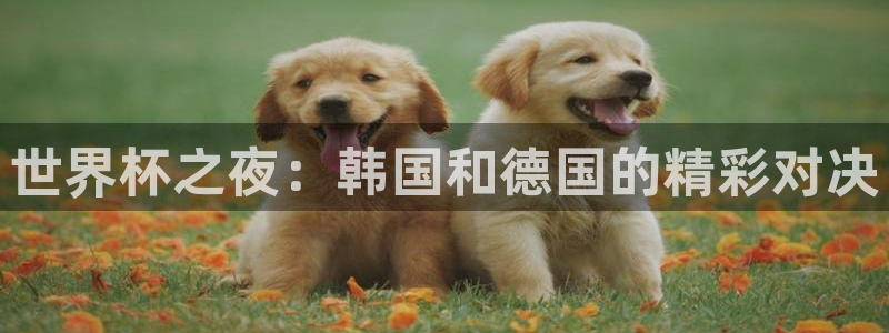 世界杯系列赛：世界杯之夜：韩国和德国的精彩对决