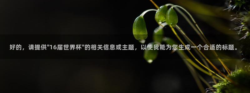 世界杯葡萄牙赛程：好的，请提供\