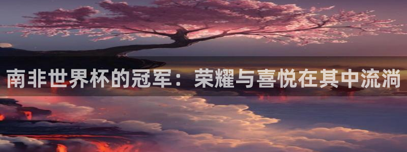 国际足联世界杯：南非世界杯的冠军：荣耀与喜悦在其中流淌